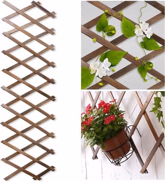 Decorazione giardino all'aperto pianta arrampicata traliccio di legno telaio estensibile recinzione - per esterni