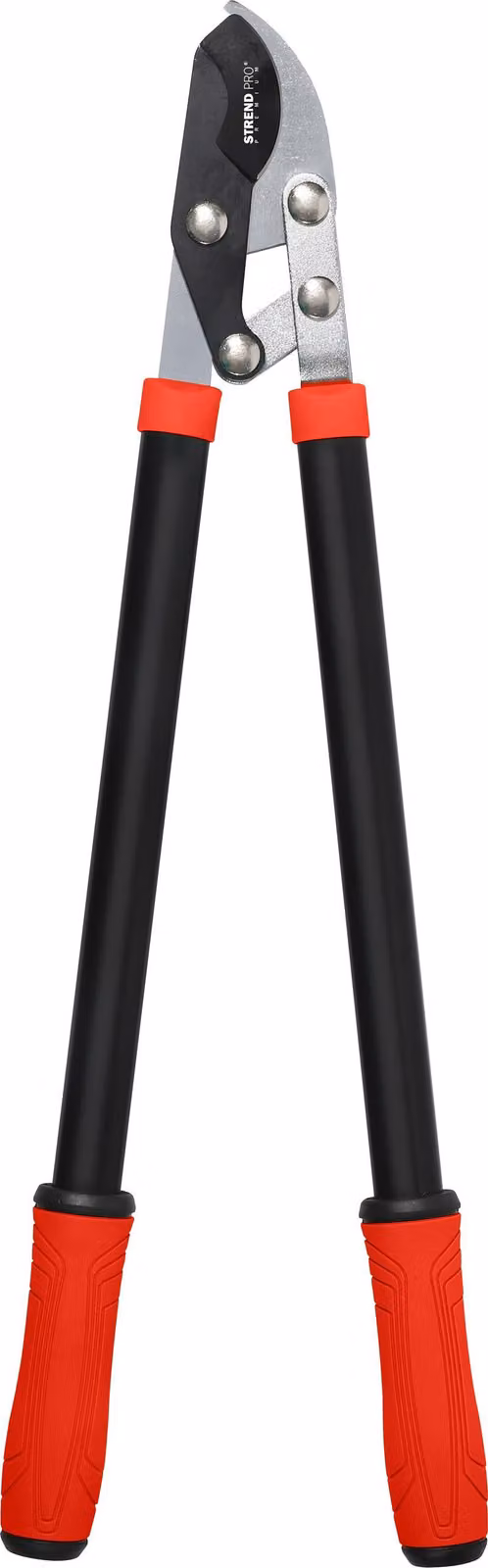 Forbici Strend Pro Premium, Bypass, da giardino, 705 mm