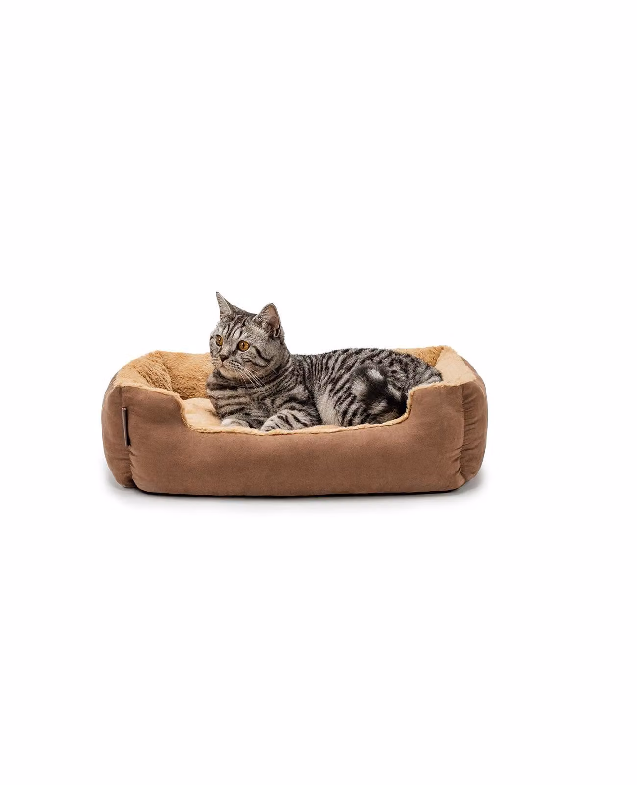 lettino per gatti lionto, soffice lettino con cuscino reversibile rimovibile e base antiscivolo, di facile manutenzione e moderno, 60x48 cm, marrone/beige