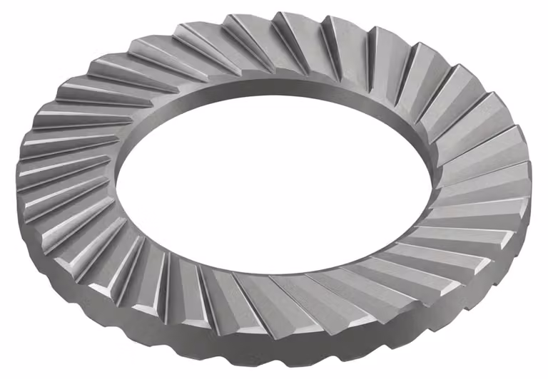 Dischi Schnorr in acciaio per molle S 8 K 1000 pz