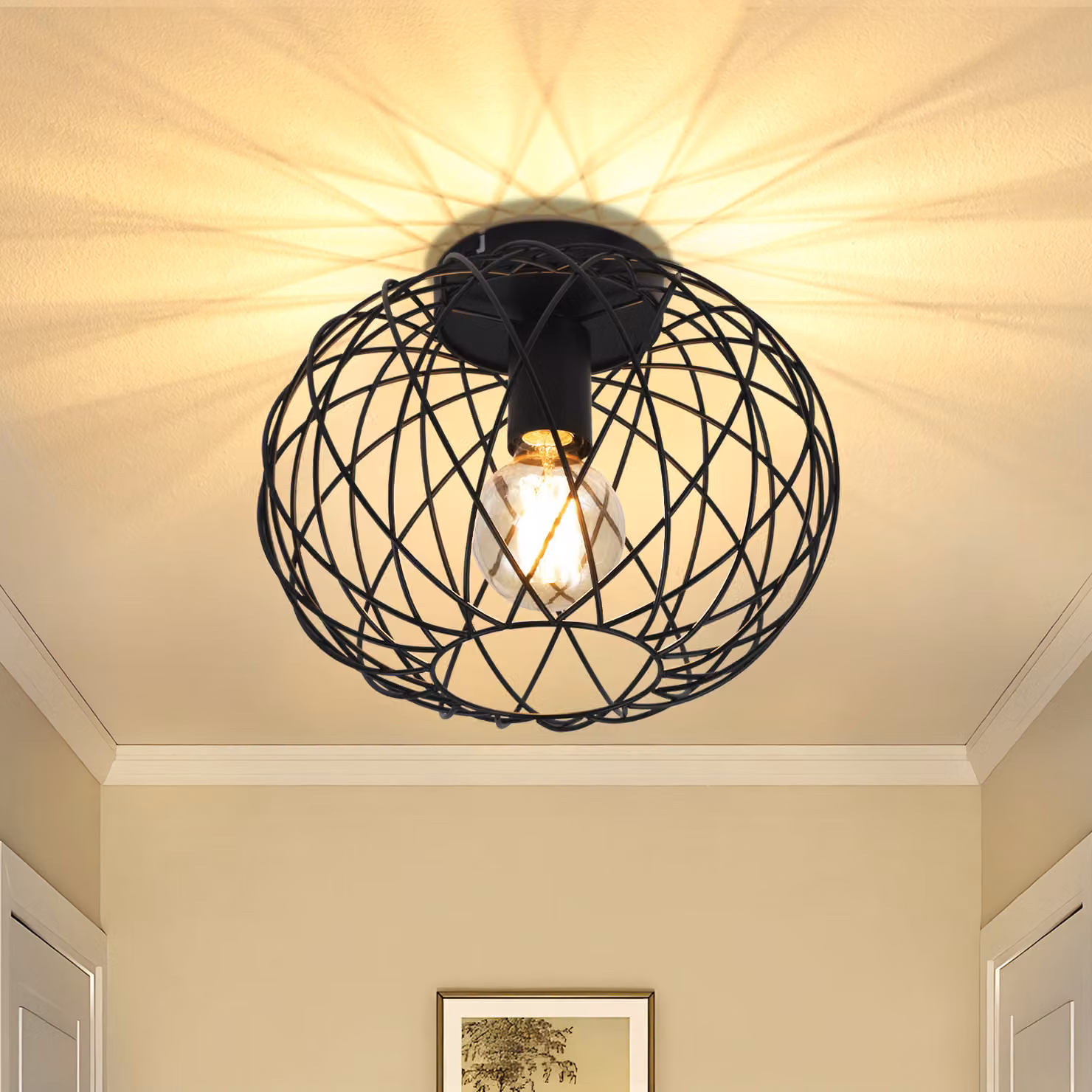 ZMH Lampada da soffitto a 1 luce per sala da pranzo, Ø 25 cm, lampada da soffitto per corridoio, attacco E27, stile industriale, struttura in metallo a gabbia, retrò, per soggiorno, cucina e camera da letto, nera