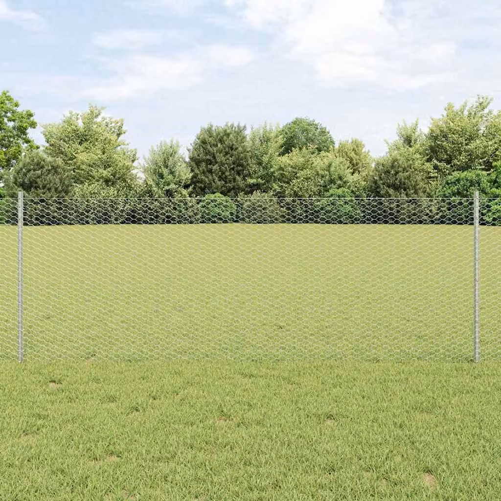 Maison Exclusive - Recinzione con Posto Argento 0,8 x 10 m Acciaio