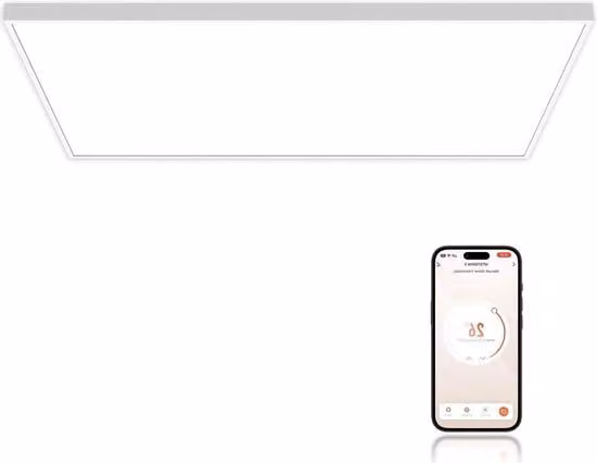 Infrarotta Infrarotta a Parete da 1000 Watt fino a 120°C per 15-25m² - Temperatura di Funzionamento in 1-3 Min - WIFI (Smart Tuya) - Certificato TÜV