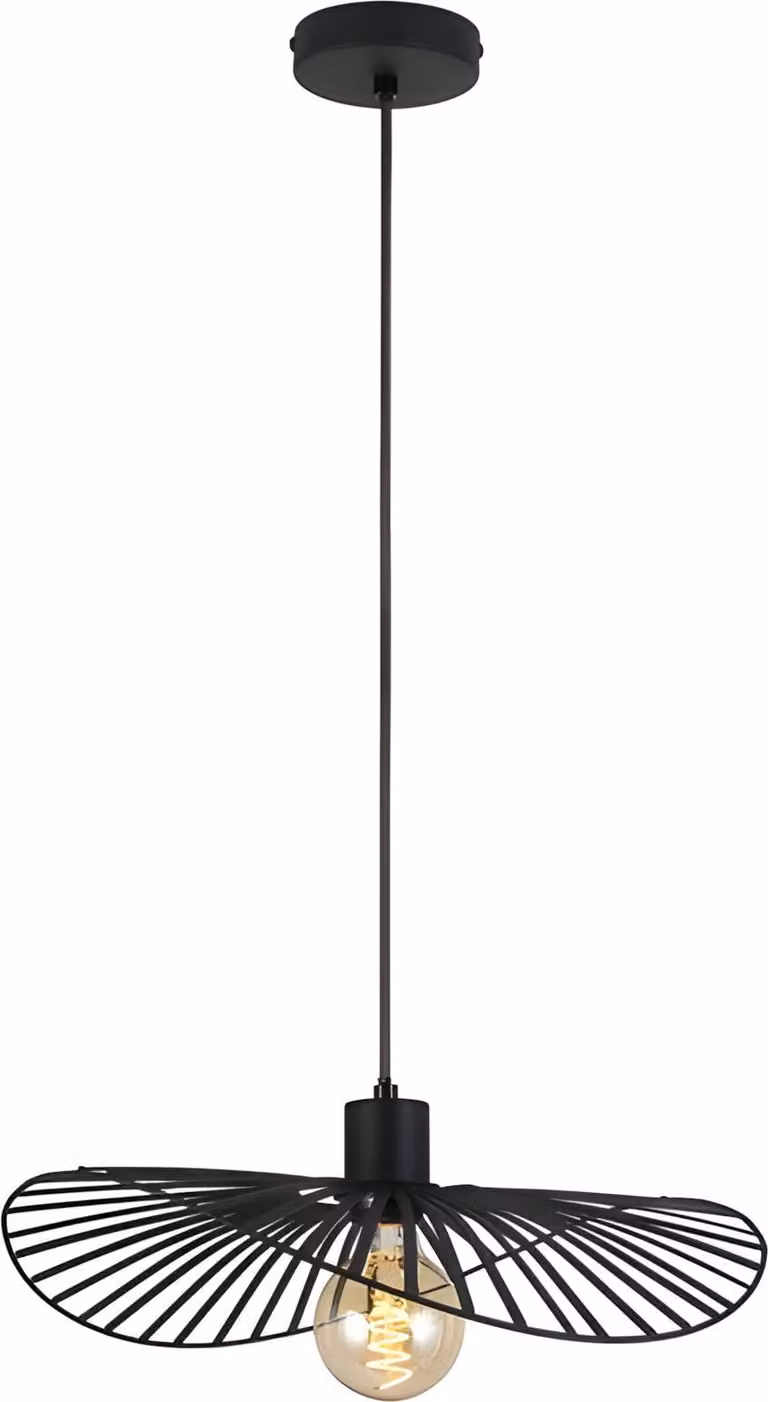 Lámpara De Techo TOOLIGHT APP1840-1CP Black0