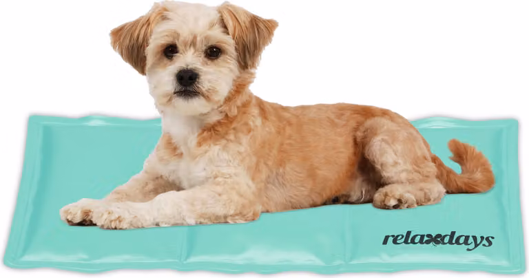 relaxdays Tappeto refrigerante turchese per cani