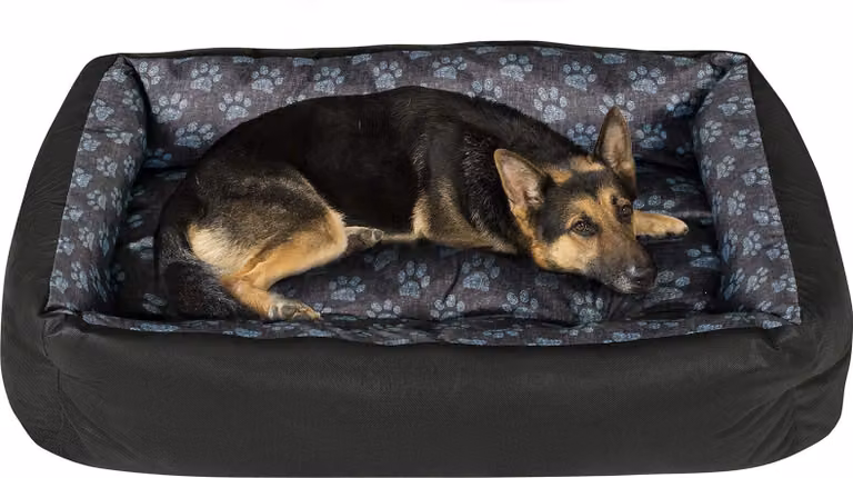 Letto per cani Cesto per cani Divano per cani Letto per cani di piccola, media e grande taglia - Lavabile - Taglia L - Nero e grigio - Zampe di lino