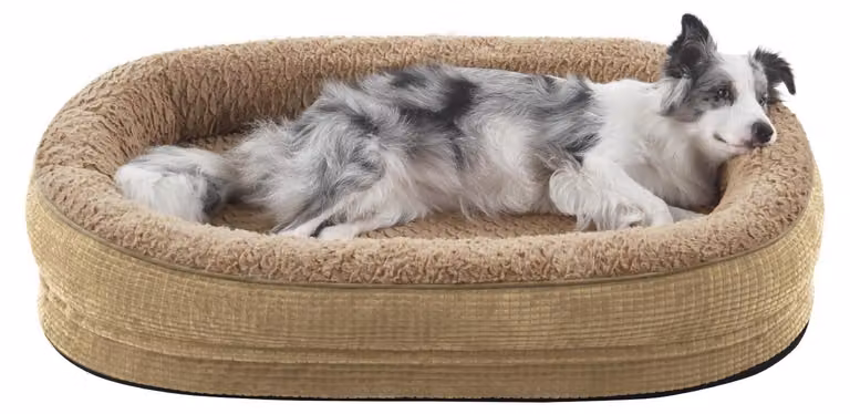 Solidchoice - Cuccia per cani di grossa taglia, tappetino ortopedico lavabile con fondo antiscivolo