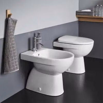 Sanitari Geberit Selnova in ceramica bianca con scarico a parete e copriwc, L/P/H: 49 x 40 x 36 cm