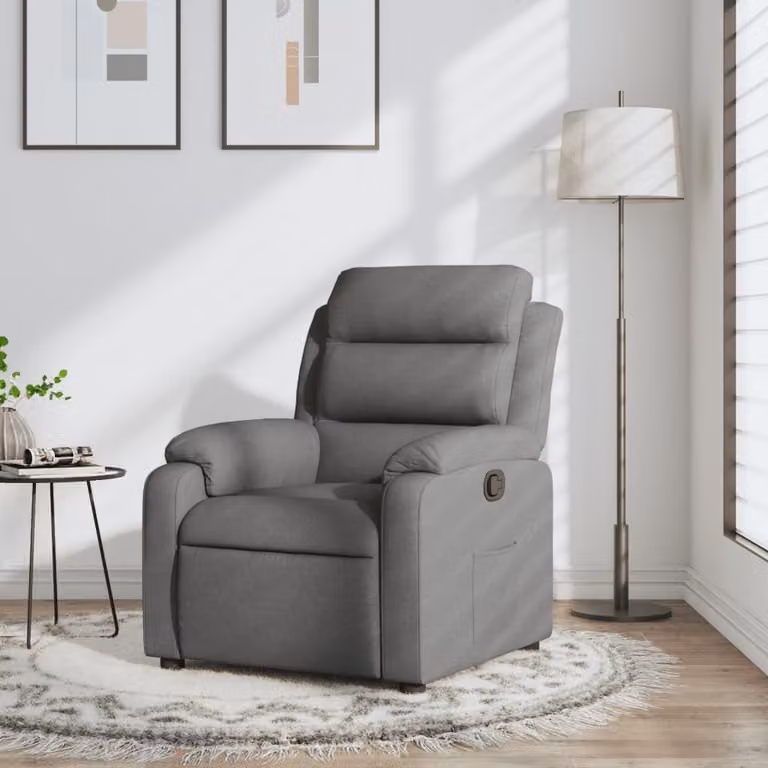 Poltrona reclinabile - Poltrona - Sedia da soggiorno - Sedia da camera da letto - Schienale regolabile - Tessuto grigio scuro