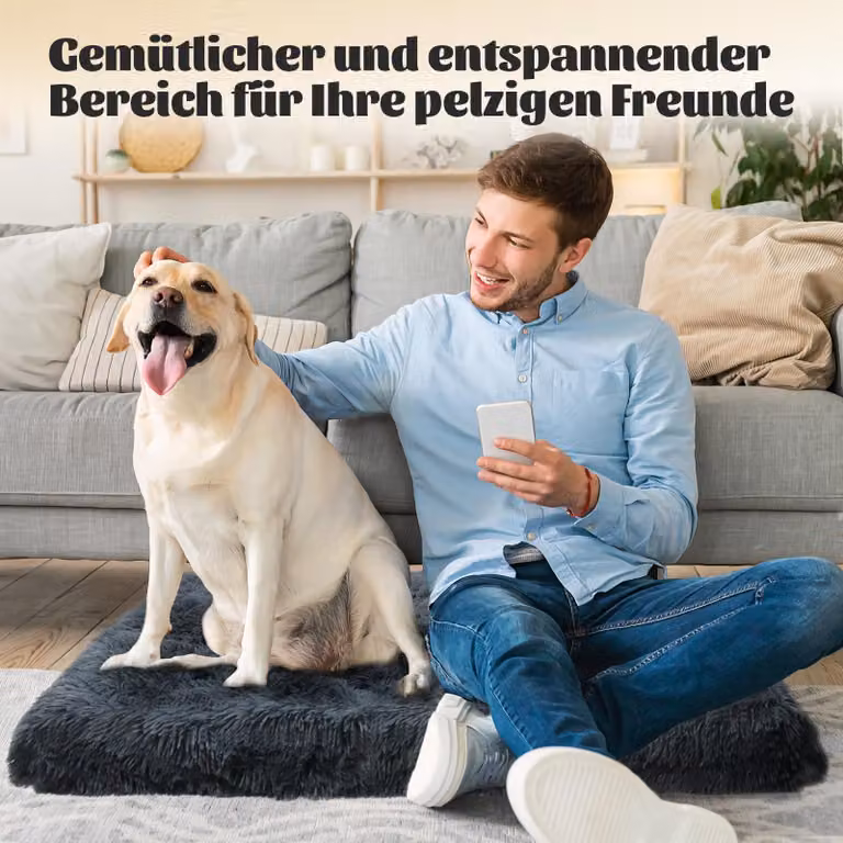 Cuccia per cani, dimensioni 100 x 60 x 10 cm, colore grigio scuro, rivestita in peluche lungo, lavabile, per uso interno