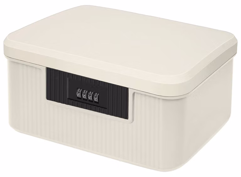 Contenitore di stoccaggio a 2 scomparti, dimensioni 26 x 21 x 12 cm, con serratura a combinazione, per una conservazione sicura