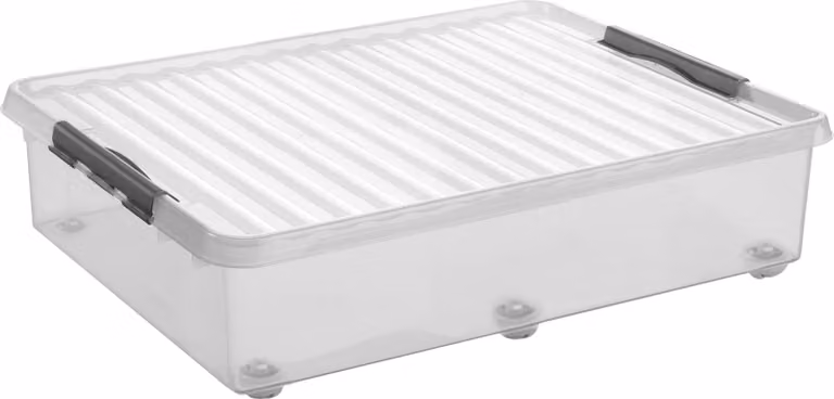 sunware H6163199 Contenitore 60,0 l trasparente 50,0 x 80,0 x 20,0 cm