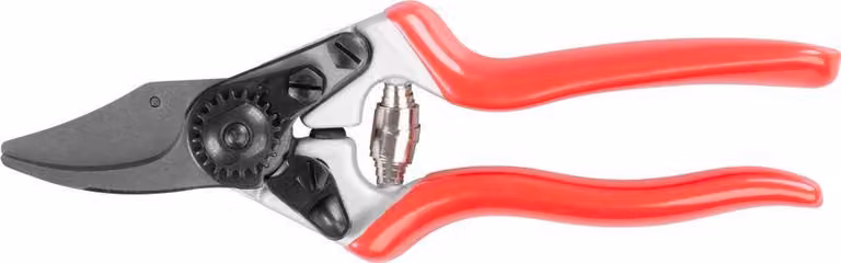 Forbici Strend Pro Premium 3103A-2, da giardino, per rami