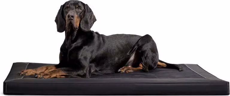 CARLOS Ortho-Medic tappetino ortopedico per cani in pelle artificiale VISCO - Dimensioni: 80x60cm | Colore: 03 Nero