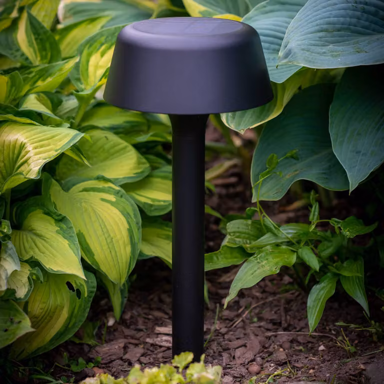 Dyberg Larsen Valencia lampada solare per vialetto, nera, Nero, Metallo, Scandinavo, Lampade solari