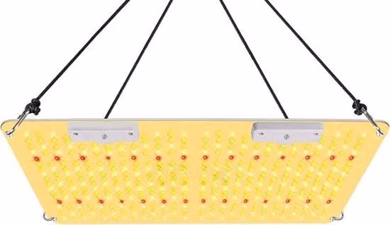 Lampada a LED per Coltivazione - 2000W
