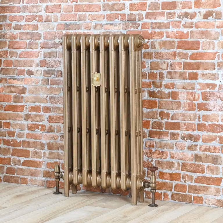 Radiatore Tradizionale in Ghisa - 660mm x 263mm