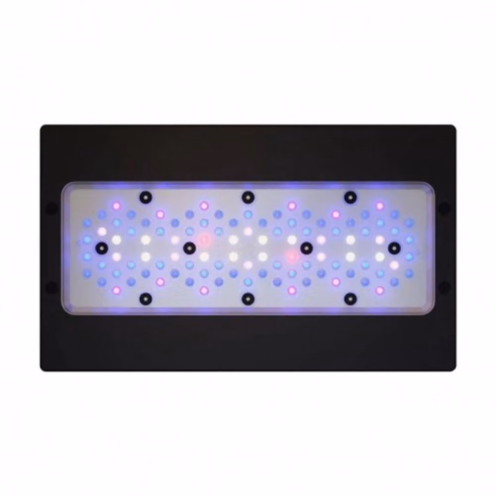 Ecotech Marine Radion XR30w G6 Blue con illuminazione LED RGB e telecomando – 2