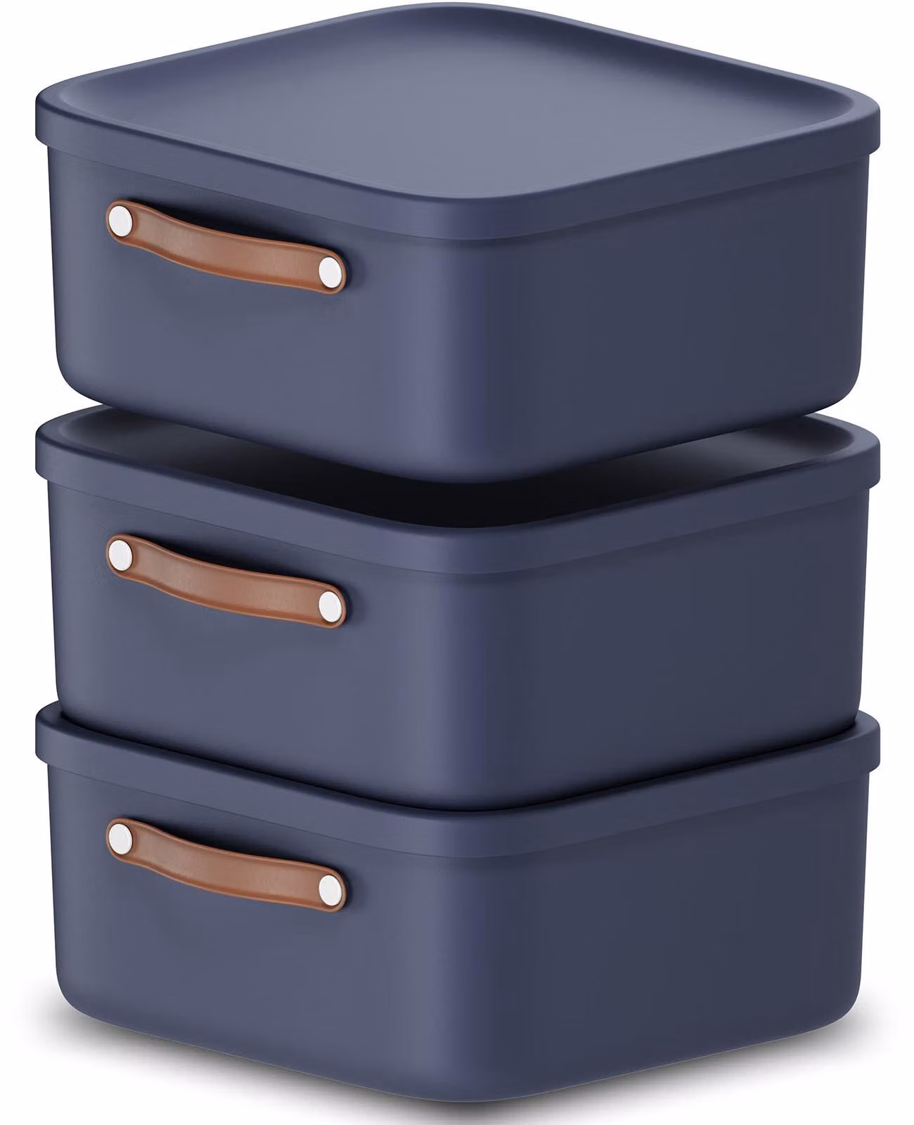 Set di 3 scatole Rotho 20 L Maloja - Scatola di plastica con coperchio - Scatola impilabile 39,5 x 38,0 x 17,7 cm - Scatola di plastica Scatola organizer Scatola multiuso