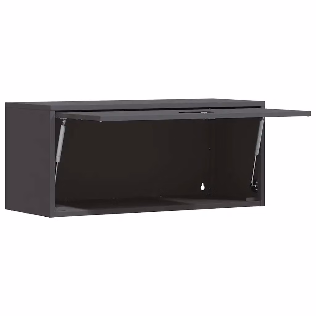 Armadio a muro moderno HELLOSHOP26 in stile industriale nero opaco con ante a battente e serratura, L: 80 cm, P: 33 cm, H: 35 cm – 2