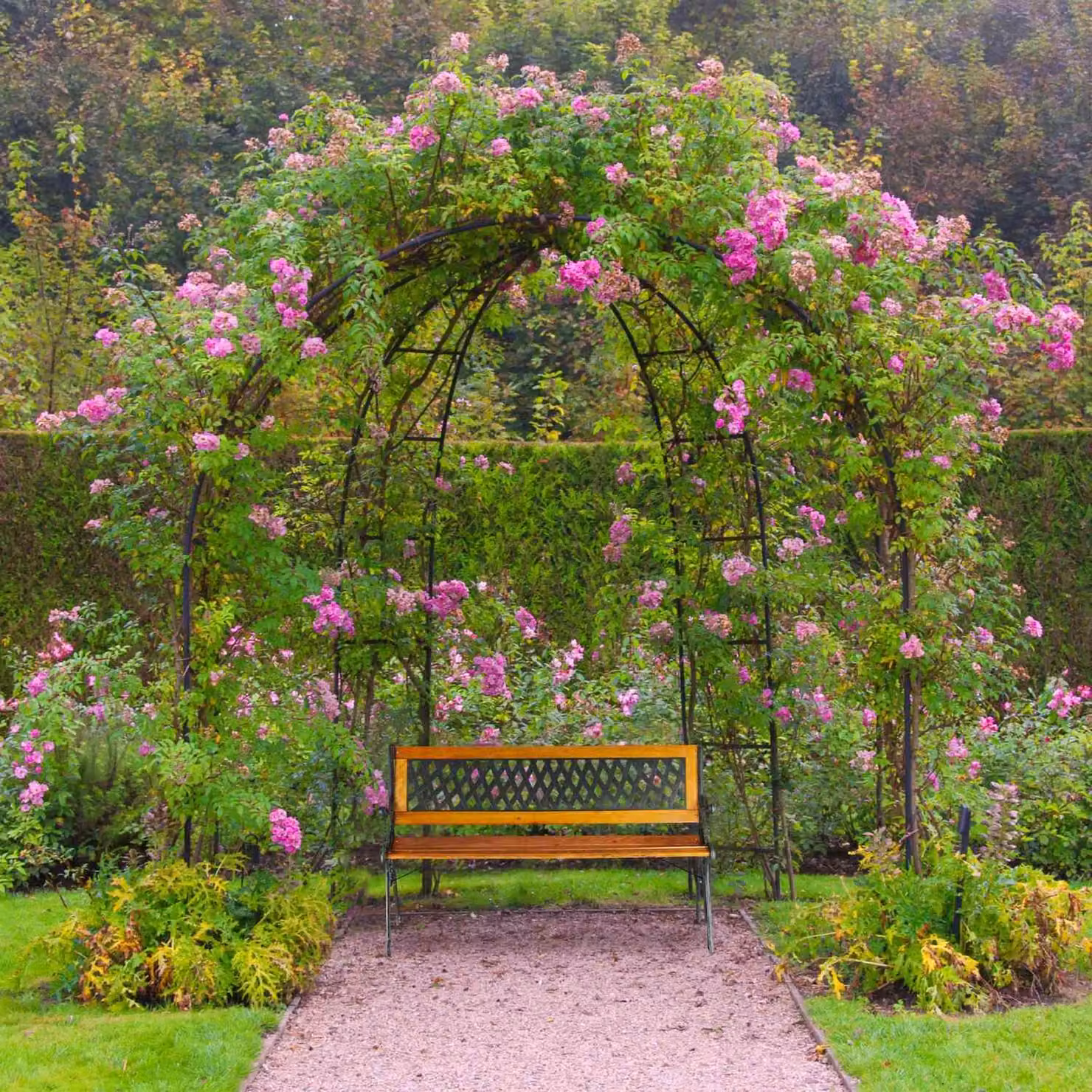 Panca da giardino in vimini, doghe in legno, struttura in ghisa