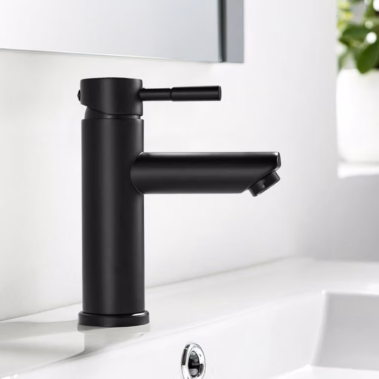 Miscelatore monocomando per lavabo, acciaio inossidabile, 1 pezzo