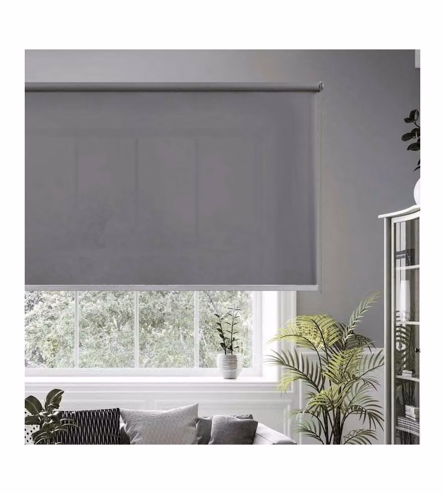 STOR PLANET Tenda a Rullo Filtrante Trasparente Grigio Koala 200x250 cm