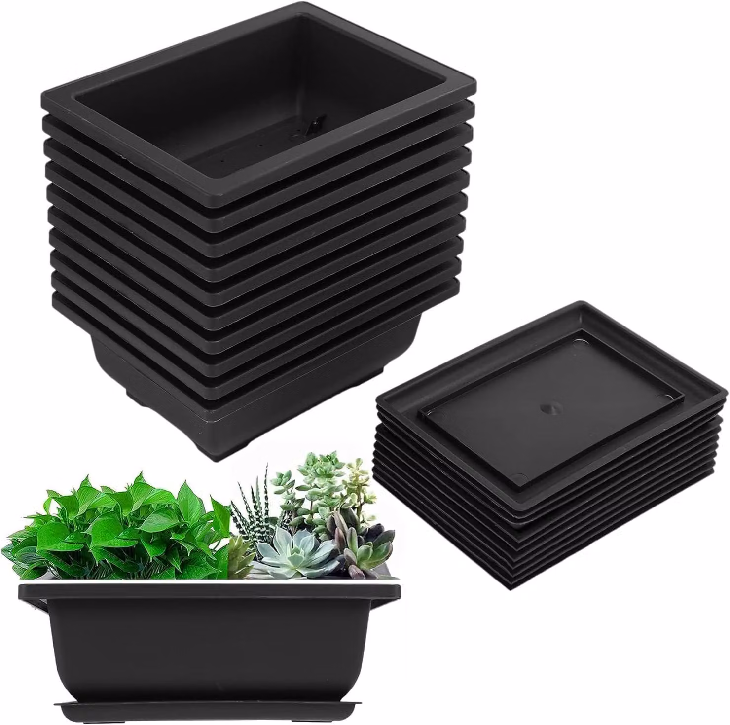 Omgoods - Set di 10 vasi da allenamento per bonsai con supporto, 16,5 x 12 cm