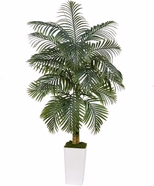 Palmiera Artificiale 180 cm, Palme da Giardino, Piante Artificiali Simili alle Esogetiche, Resistenti ai Raggi UV, Pianta Tropicale per Interni, Sala da Pranzo, Camera da Letto, Ufficio, Balcone, Decorazione Esterna (Bianca, 180 CM)