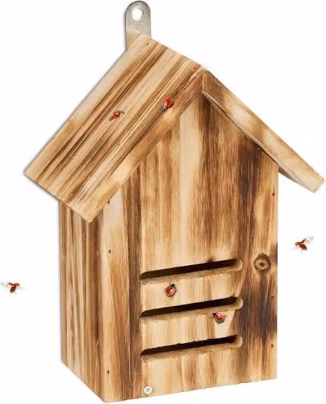 Casetta Ladybug in abete fiammato