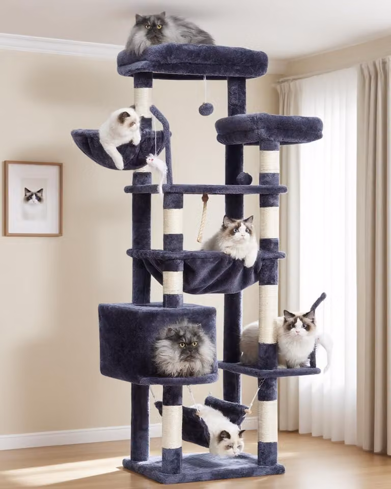Albero per gatti con 2 grandi piattaforme, 2 ceste, una tana, pali da gioco, altezza 160 cm