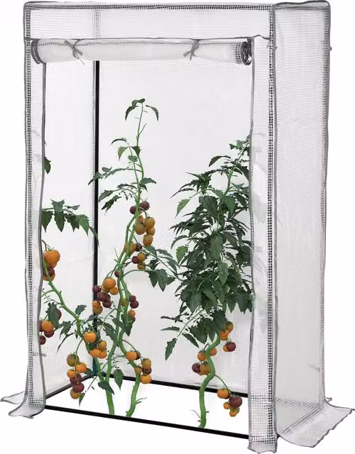 Serra da giardino e da balcone Outsunny con telaio in acciaio e telo rinforzato in PE, porta a scomparsa, bianco, L 100 cm x P 50 cm x H 150 cm