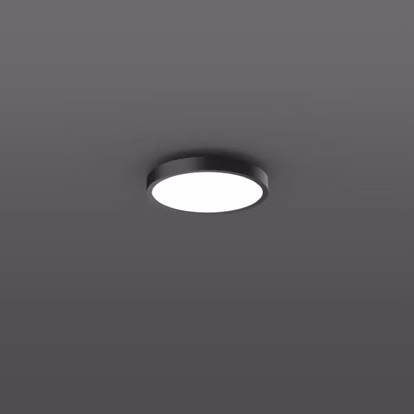 RZB Triona, 38 W, 2900 lm, 827-865, antracite, lampade da soffitto e da parete smart+free, D 461 H 88, 108°, plastica (PMMA) opalina 312420.0031.2.730