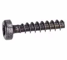Vite a testa bombata Torx per Martelli perforatori BOSCH PROFESSIONAL - 1619P00105