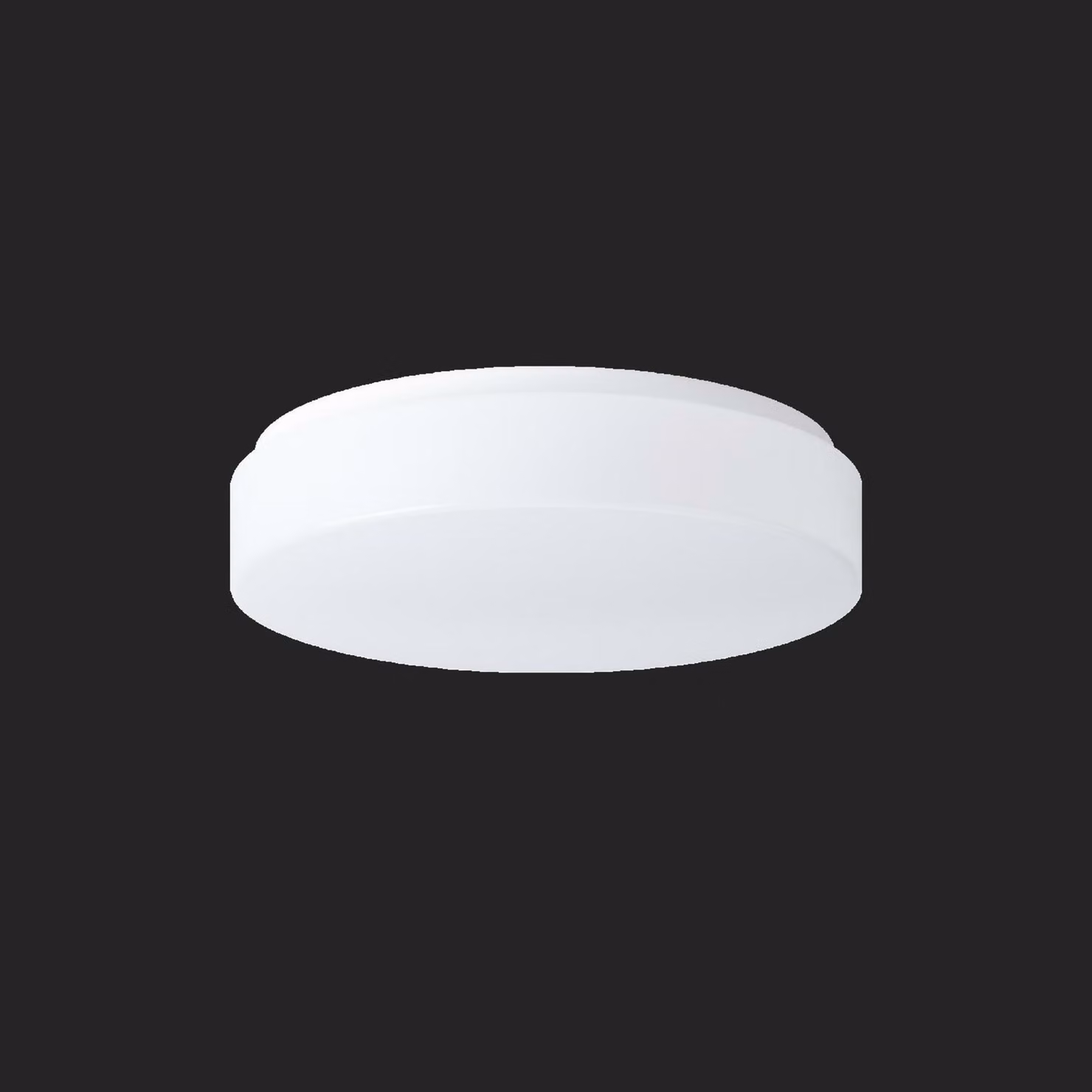 OSMONT DEL53322 DELIA 1 apparecchio da soffitto/parete in plastica IP54 3000 K 19W LED combinazione di emergenza 3 h