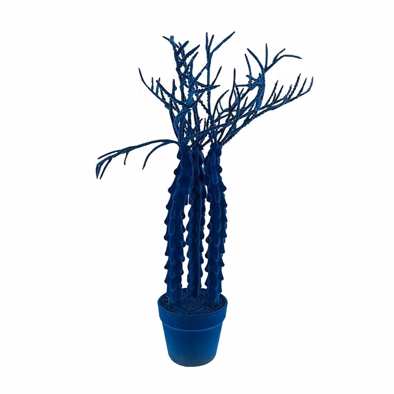 Complemento d'arredo Cactus Cereus Adriani e Rossi