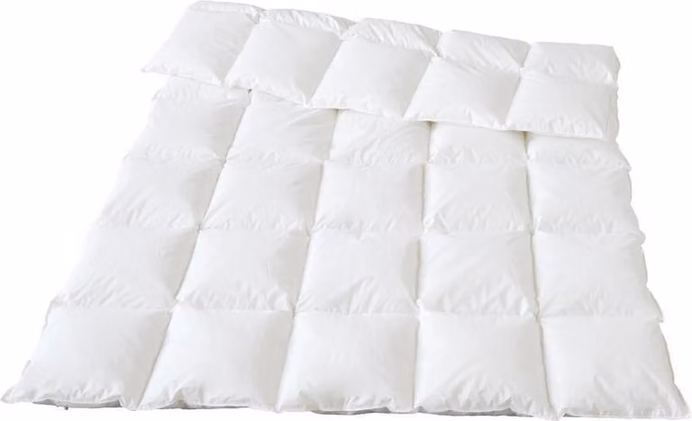 Piumino Traumina Plume in piuma biologica, per tutte le stagioni, leggero, classe termica 3, misura 200x220 cm