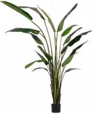 Pianta artificiale Strelitzia verde con 18 foglie Bizzotto