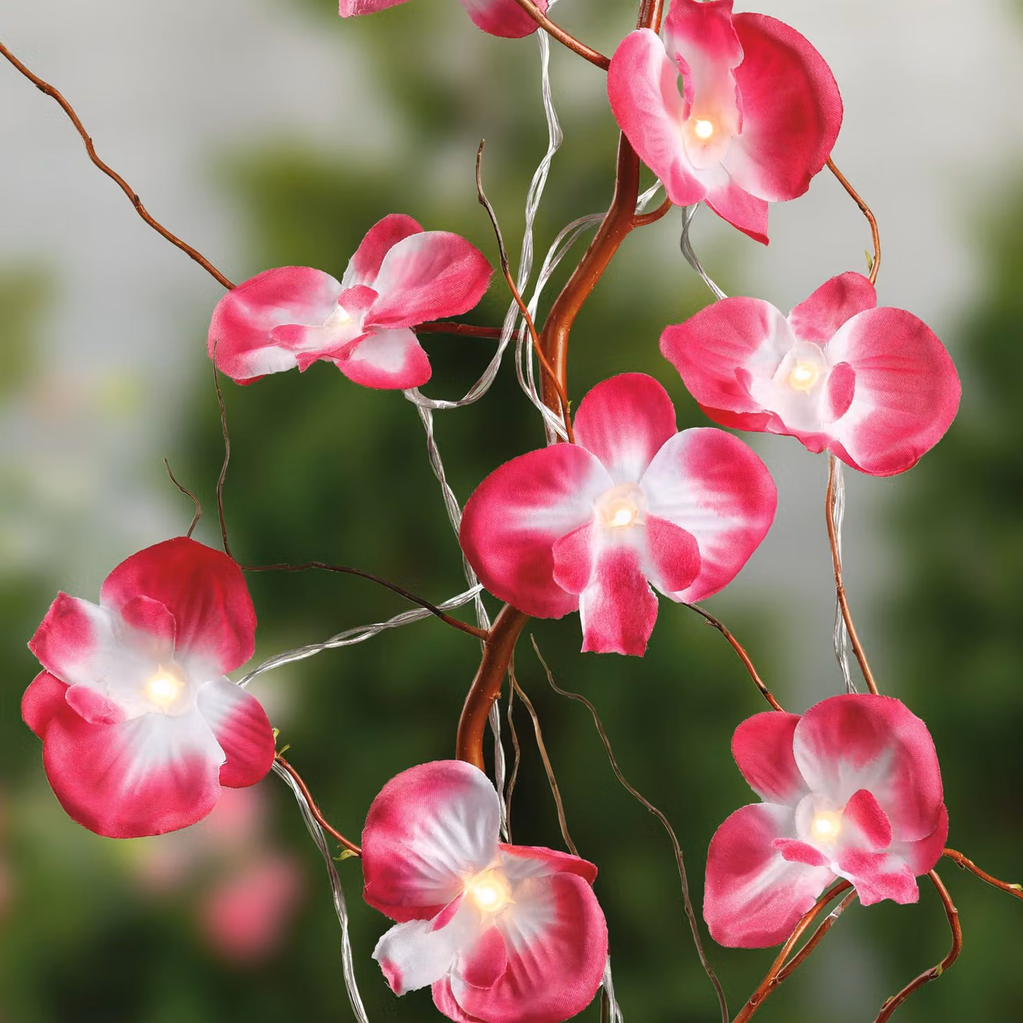 Catena luminosa a LED con orchidee rosa, 10 LED bianco caldo, lunghezza 1,35 metri