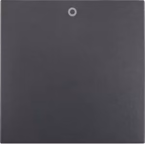 Berker 16221606 Bilanciere con impronta "0" antracite, opaco Berker B.3/B.7