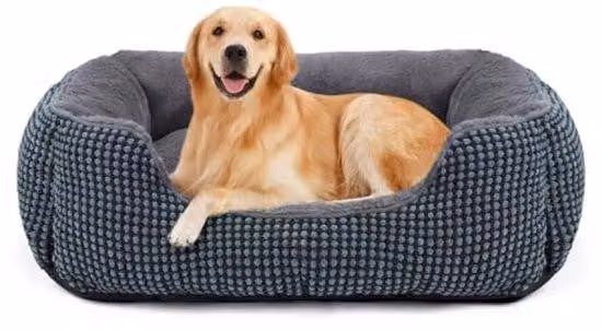 Letto grande per cani con bordo rialzato – Lavabile e antiscivolo – Adatto a cani e gatti