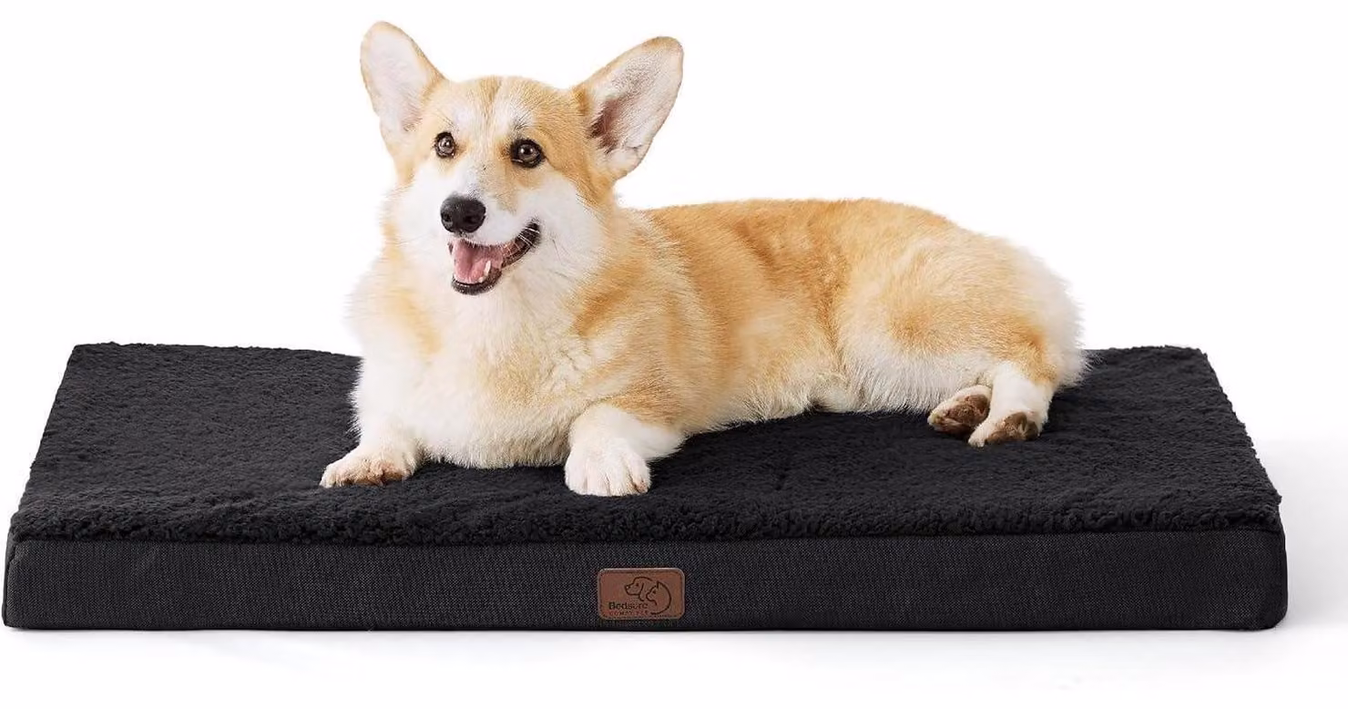 Cuccia ortopedica per cani, dimensioni 89x56x8 cm, colore nero, lavabile, adatta a cani di taglia media