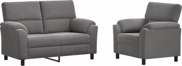 Set di 2 divani moderni vidaXL in velluto grigio con struttura in metallo e cuscini inclusi