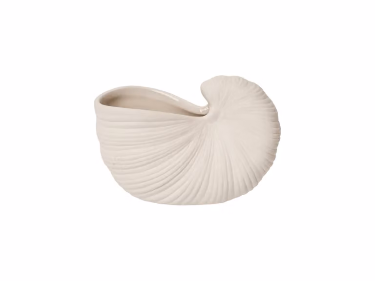 Shell Portapiante - Bianco sporco