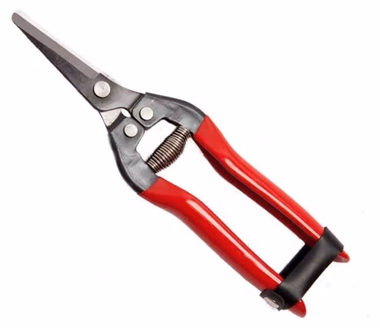 forbici cogliuva 19 falci 19 cm