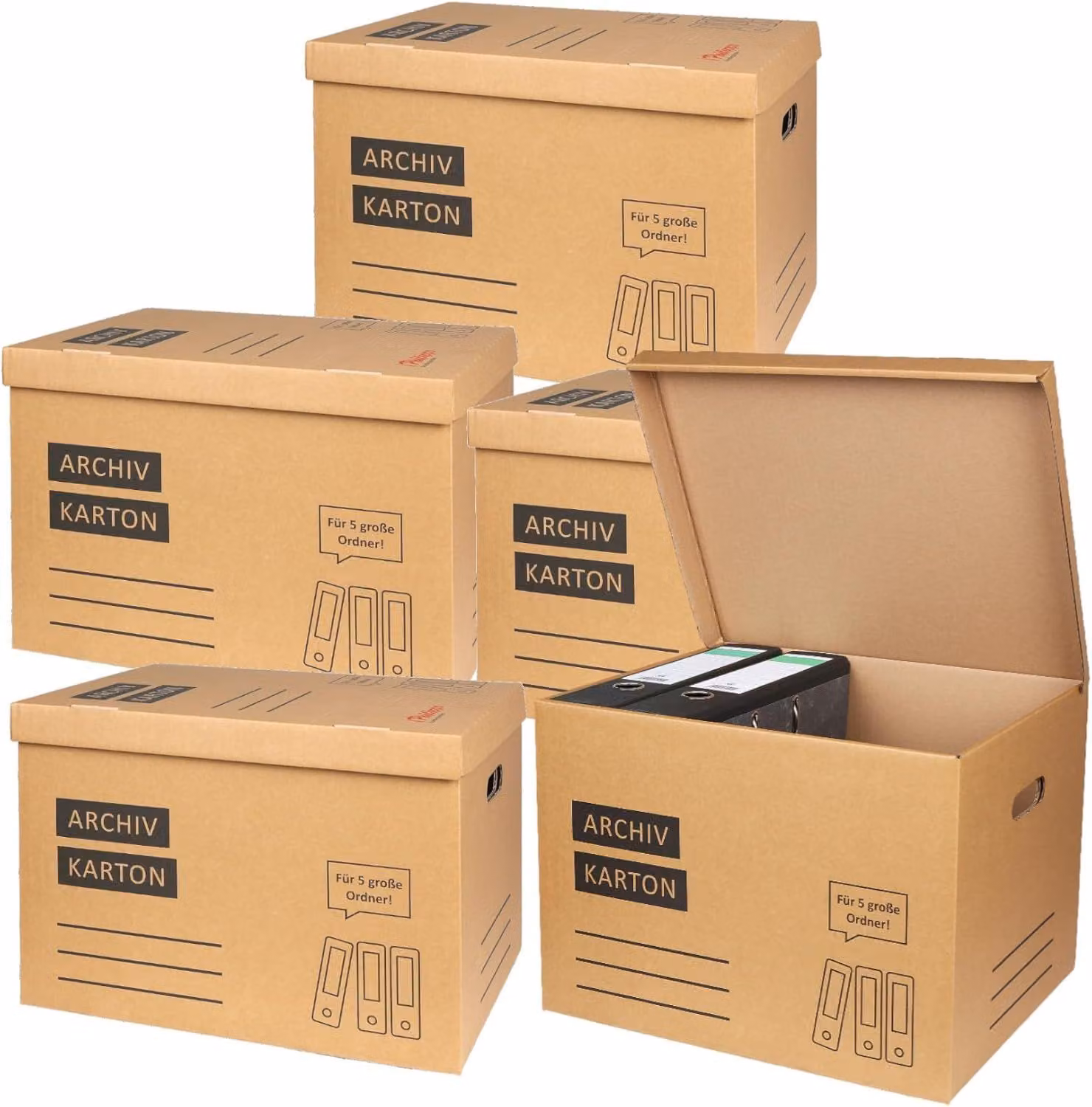 5x scatola per archivio scatola per archivio con coperchio e base incernierati - per 5 grandi cartelle A4 ciascuna per l'archiviazione organizzazione trasporto scatola per archivio