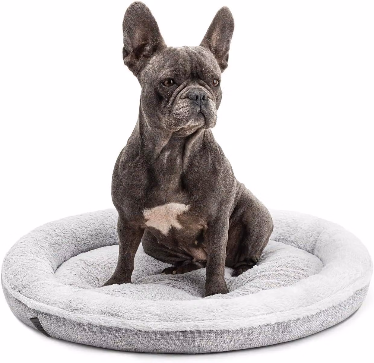 Cuccia per cani, 65 cm, fodera lavabile, antiscivolo, grigia, per cani