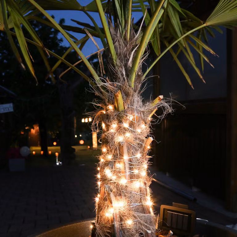 Ghirlanda luminosa a LED con alimentazione solare - 360 LED bianco caldo - 8 funzioni/USB - L: 18 m - Sensore crepuscolare