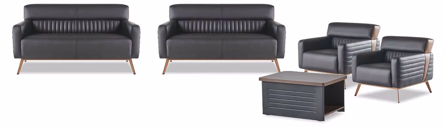 Sofas Arbeitszimmer Set 5tlg Modern Design 2-Sitzer Sessel Couchtisch