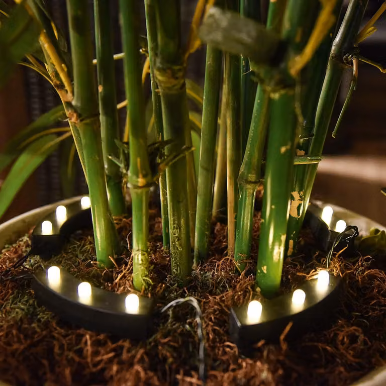 Illuminazione solare per vasi di fiori da giardino